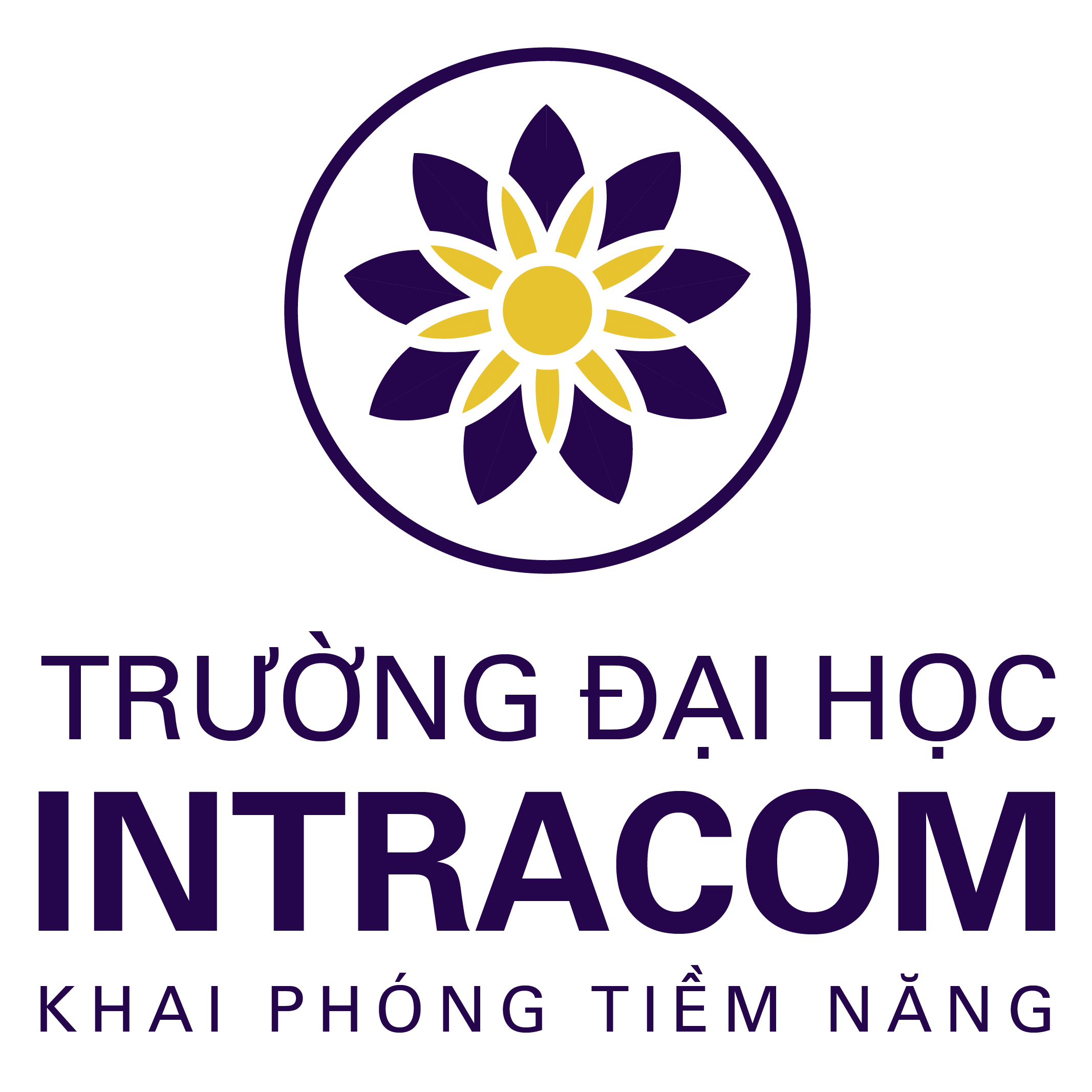 Trường Đại học Intracom